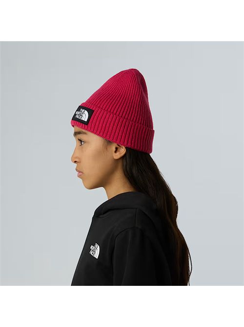  THE NORTH FACE | NF0A8CGU/BOS1